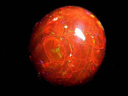 Opals For Sale. Photo from:Opal Gem stone sale