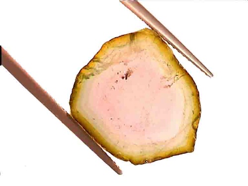 Tourmaline bicolore rose-verte en forme fantaisie naturelle