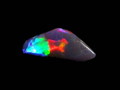 Ópalo gris multicolor de Lightning Ridge en forma libre