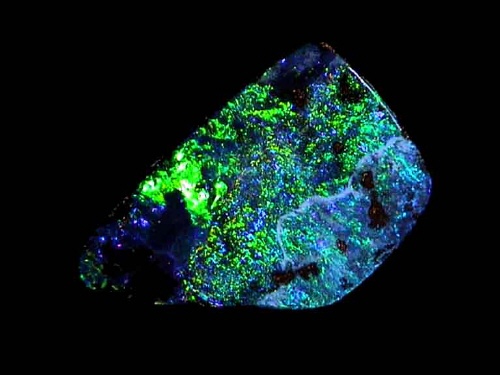 Opale Boulder verde-blu del Queensland in forma libera