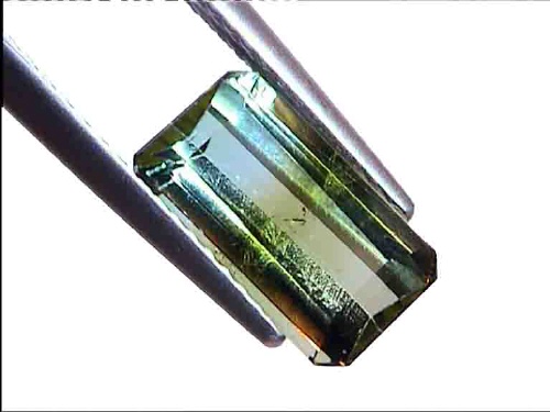 Tourmaline Bicolore Vert-Bleu du Brésil de Forme Octogonale