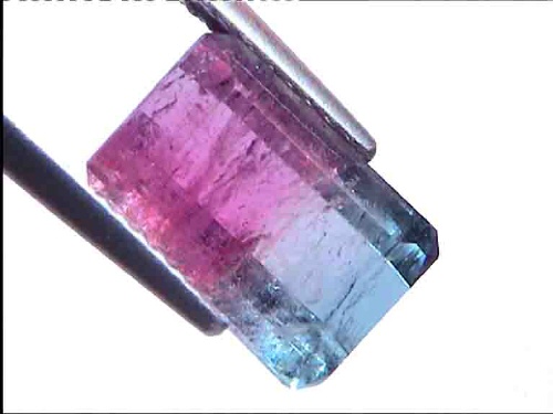 Tourmaline tricolore du Brésil, taille octogone