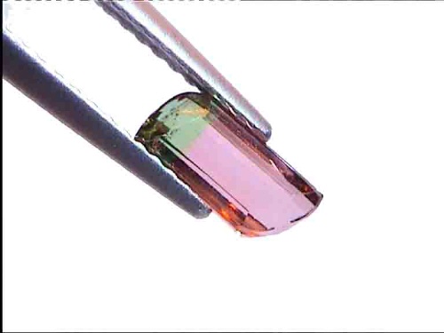 Tourmaline bicolore vert-rose du Brésil en forme fantaisie