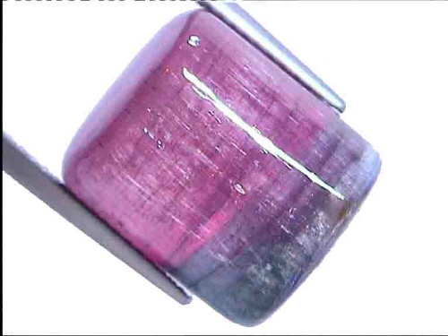 Tourmaline bicolore du Brésil rose-bleu/vert